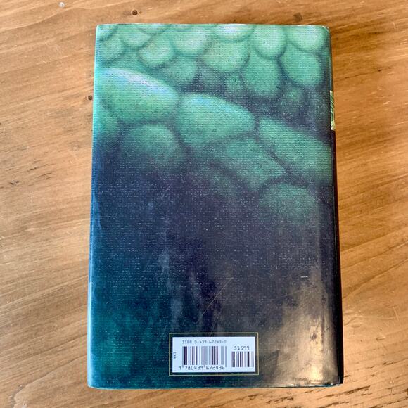 The Last Dragon Chronicles Lot Set Books 1-3 Chris D'Lacey Hardcover 1st Ed - Picture 6 of 16